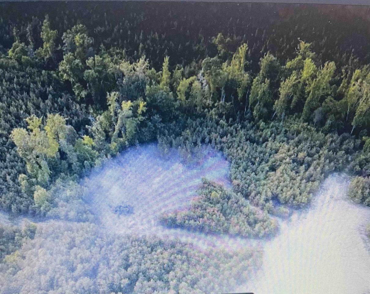 916 Paschall Road - Photo 1