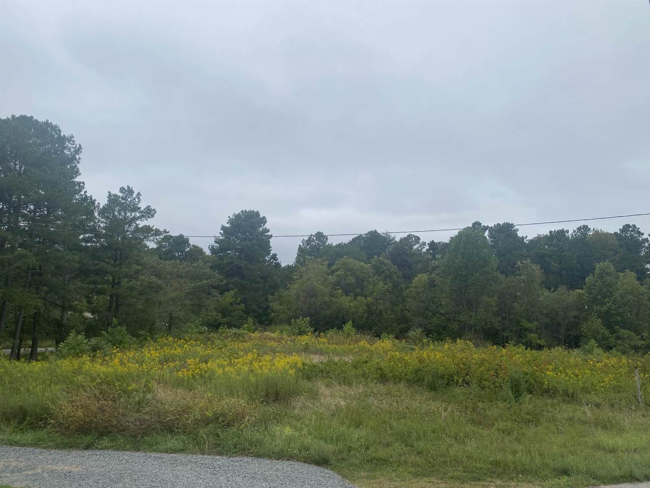 740 Cornelius Street - Photo 1