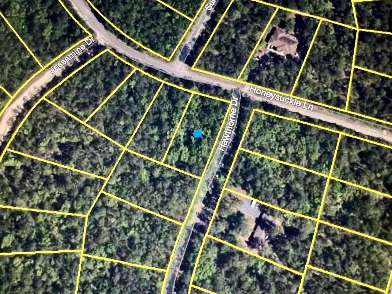 842 Honeysuckle Lane - Photo 1