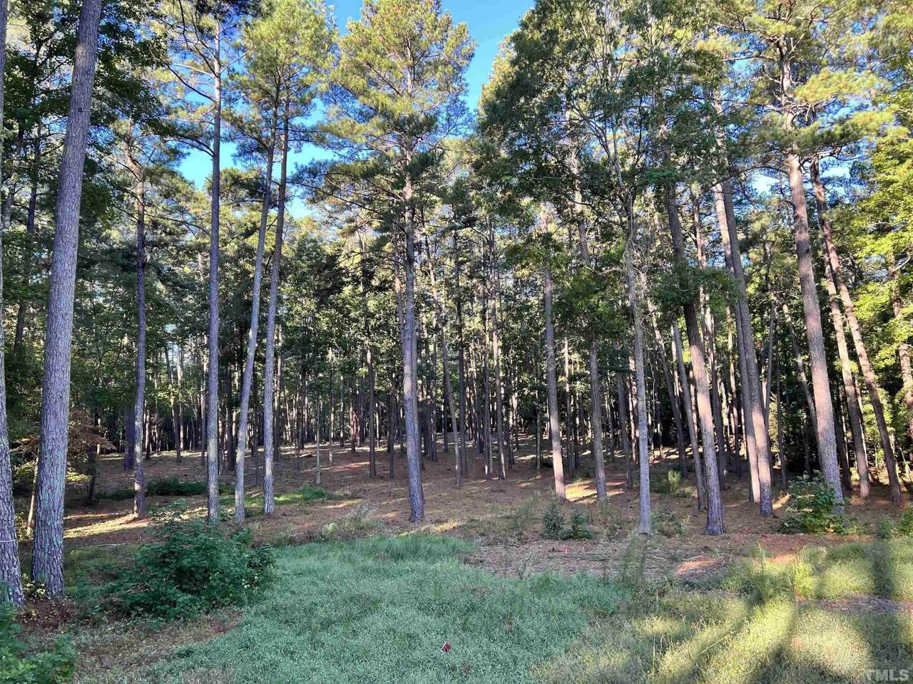 846 Ocoee Falls Drive - Photo 1