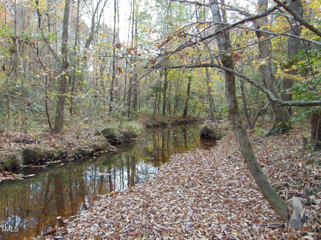 000 Big Woods Rd. - Photo 1