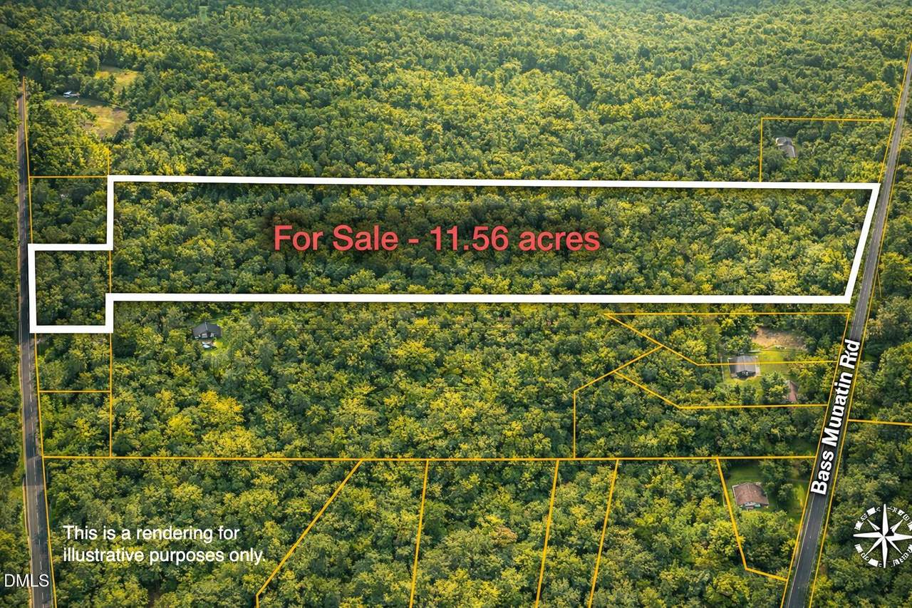 0 Bass Mountain Road - Photo 1