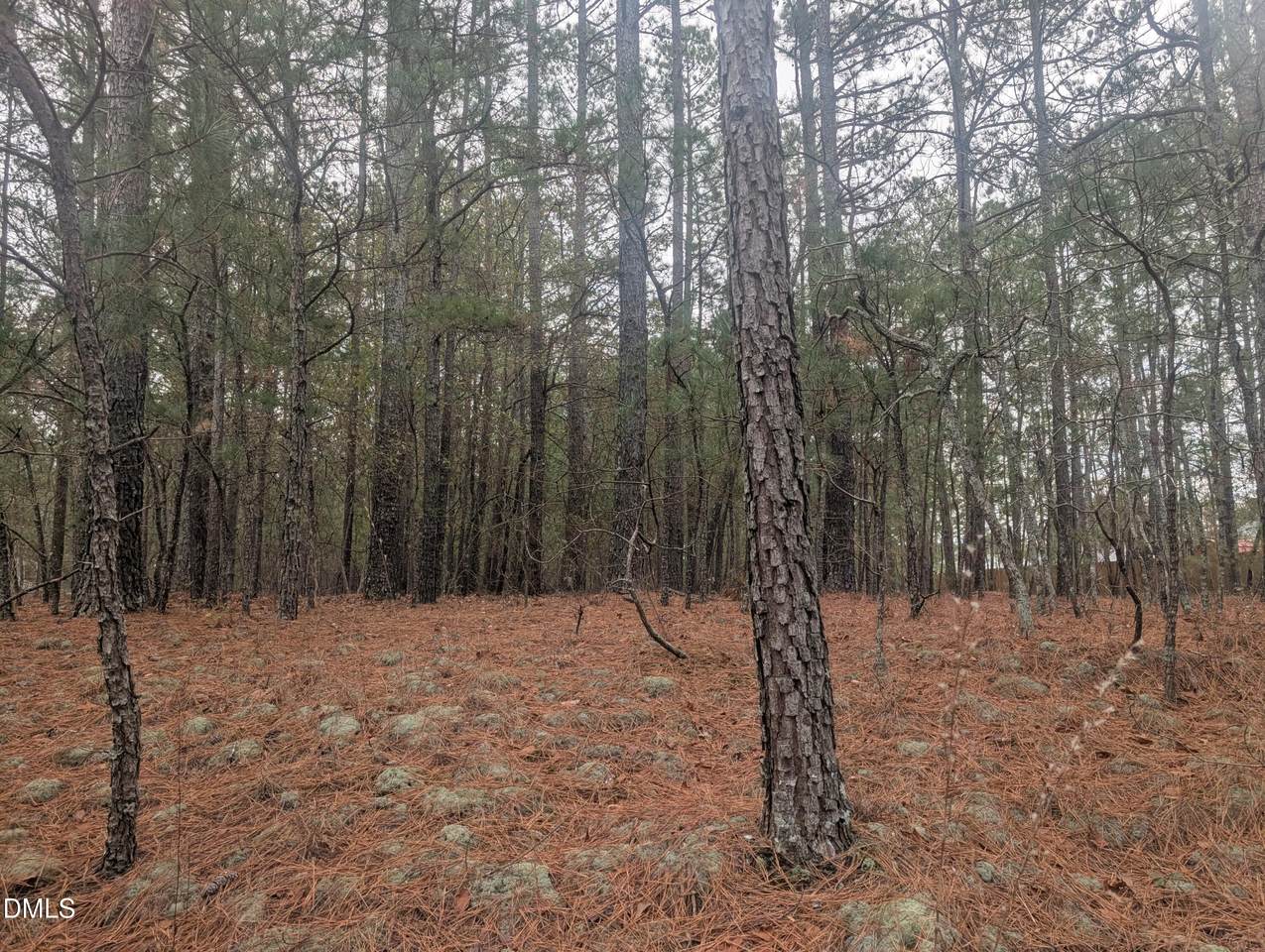 13 Saw Grass Road - Photo 1