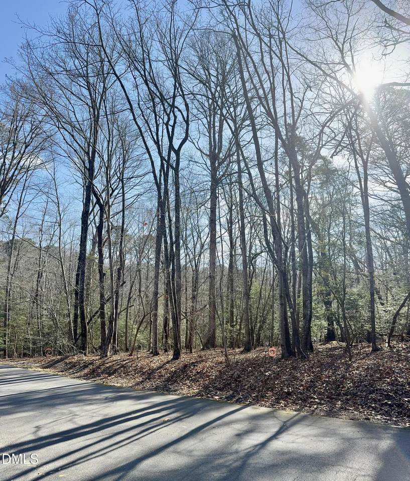 2046 Treetop Circle - Photo 1