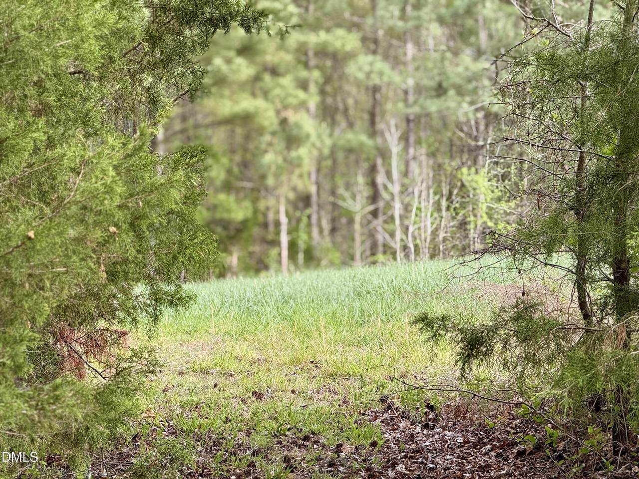 https://bt-photos.global.ssl.fastly.net/tmls/1280_boomver_3_10158702-2.jpg