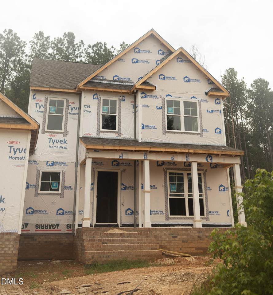 316 Little  Lady Trail - Photo 1