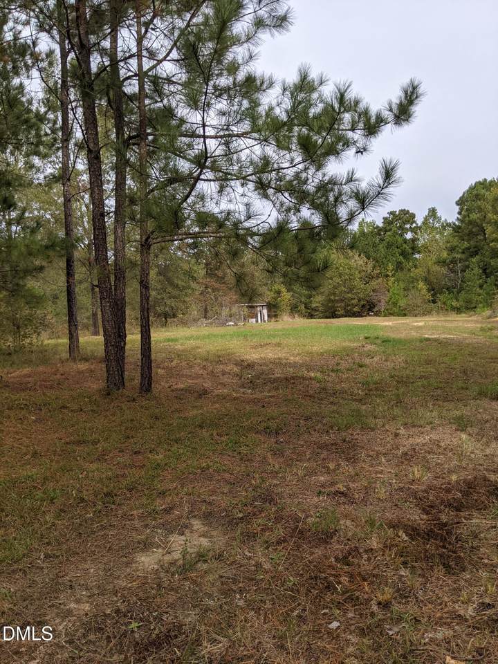 0 E Governor Brandon Street - Photo 1