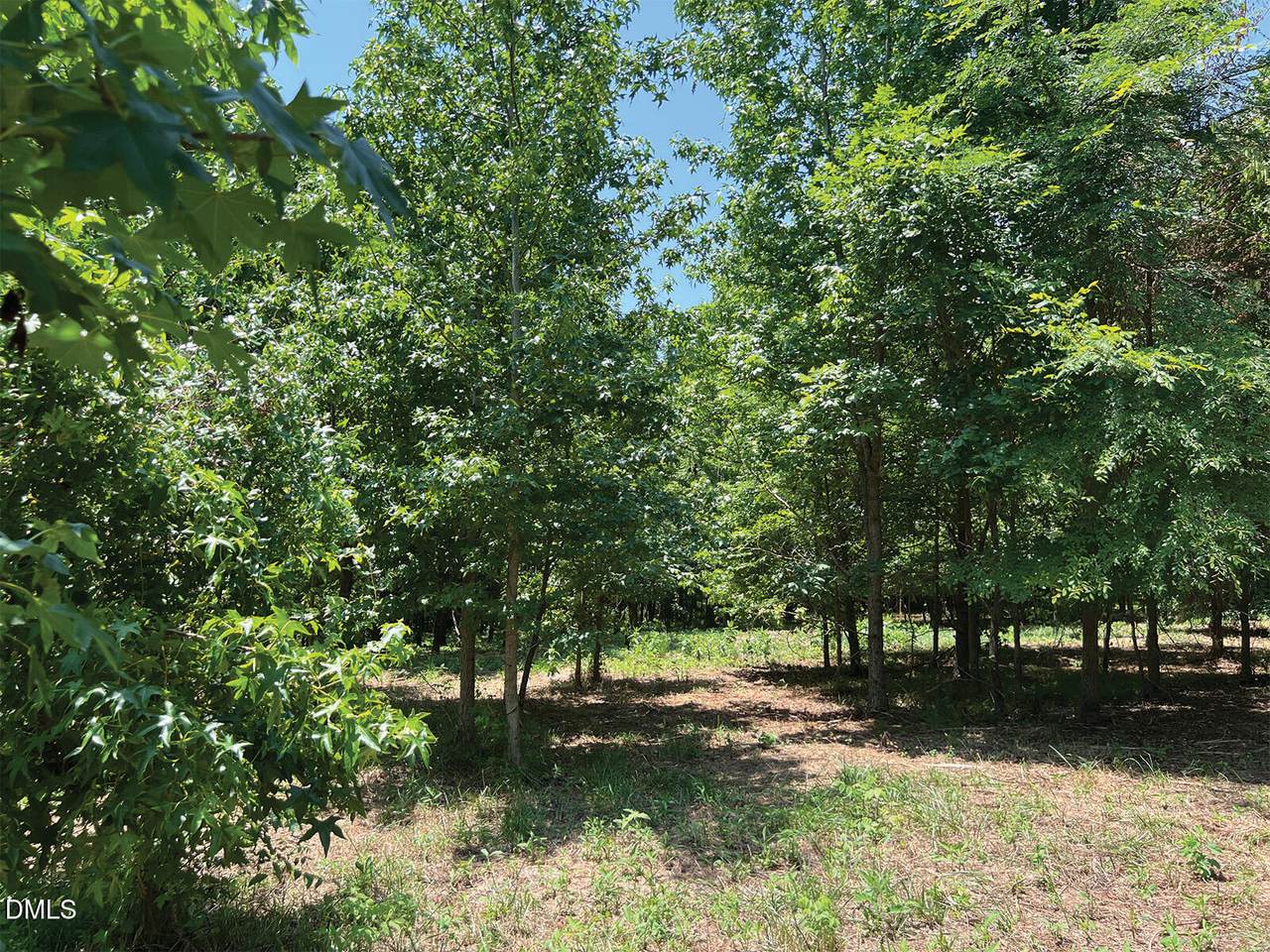 2338 Bowers Store Road - Photo 1