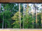 2542 Vining Branch Way - Photo 47