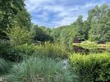 19102 Stone Brook - Photo 5