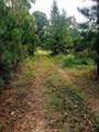 1313 Olive Branch Road - Photo 1