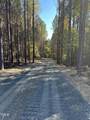 176 Green Turtle Lane - Photo 4