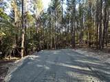 176 Green Turtle Lane - Photo 5