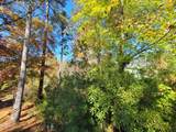 149 Brandy Mill - Photo 10