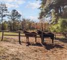 0 Cedar Lane Road - Photo 13