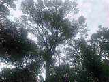 9 Laurel Cherry Court - Photo 4