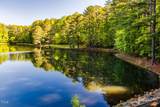10305 Old Creedmoor Road - Photo 4