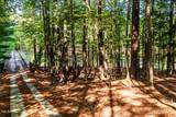 10305 Old Creedmoor Road - Photo 6