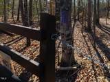 Tract 1 Robedo Road - Photo 11