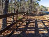Tract 1 Robedo Road - Photo 12