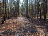 Tract 1 Robedo Road - Photo 15