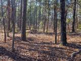 Tract 1 Robedo Road - Photo 16