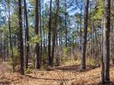 Tract 1 Robedo Road - Photo 17