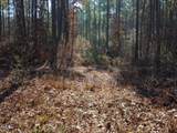 Tract 1 Robedo Road - Photo 18