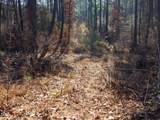 Tract 1 Robedo Road - Photo 19