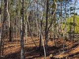 Tract 1 Robedo Road - Photo 20