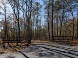 Tract 1 Robedo Road - Photo 7