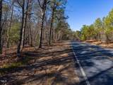 Tract 1 Robedo Road - Photo 8