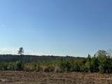 Lot 11 Good Shepherd Trail - Photo 10