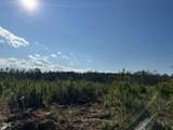 Lot 11 Good Shepherd Trail - Photo 3