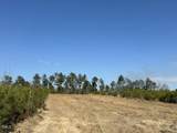 Lot 11 Good Shepherd Trail - Photo 5