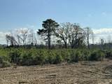Lot 11 Good Shepherd Trail - Photo 6