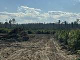 Lot 11 Good Shepherd Trail - Photo 7