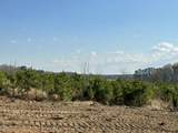 Lot 11 Good Shepherd Trail - Photo 8