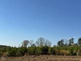 Lot 11 Good Shepherd Trail - Photo 9
