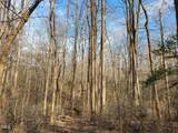 Tbd Siler City Snow Camp Road - Photo 21