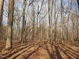 Tbd Siler City Snow Camp Road - Photo 23