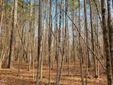 Tbd Siler City Snow Camp Road - Photo 30