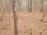 Tbd Siler City Snow Camp Road - Photo 31