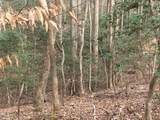 Tbd Siler City Snow Camp Road - Photo 34