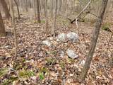 Tbd Siler City Snow Camp Road - Photo 38