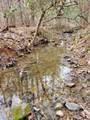 Tbd Siler City Snow Camp Road - Photo 39