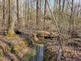 Tbd Siler City Snow Camp Road - Photo 40