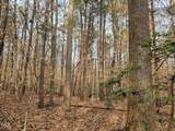 Tbd Siler City Snow Camp Road - Photo 41