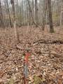 Tbd Siler City Snow Camp Road - Photo 50
