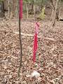 Tbd Siler City Snow Camp Road - Photo 51